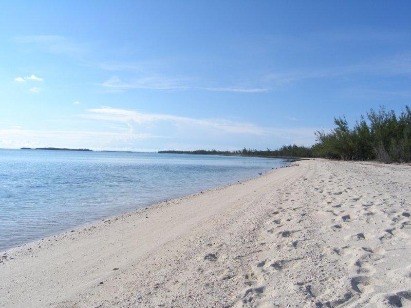 Caribbean Sandcastle Home James Cistern Eksteriør billede